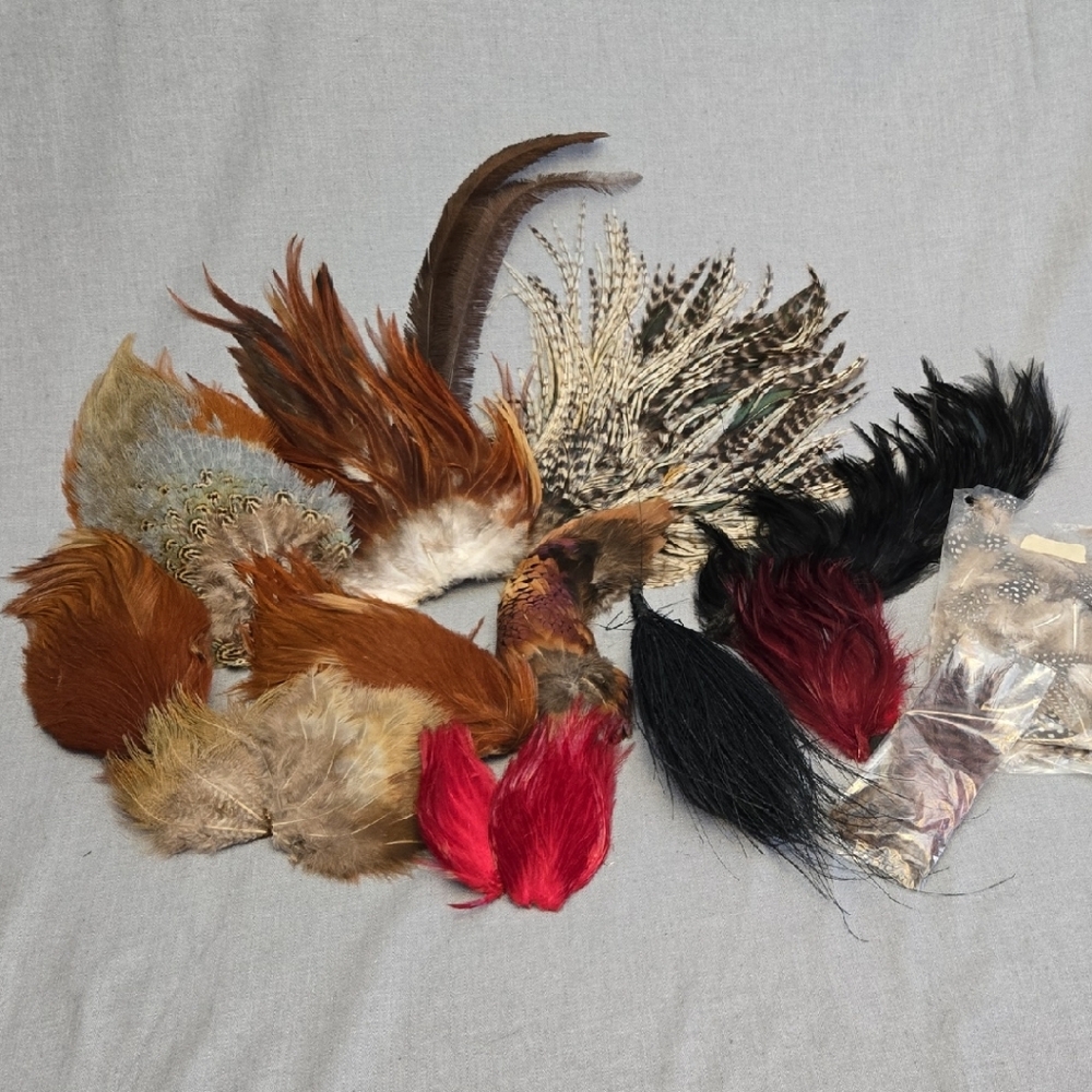 Assorted Feather Craft Set